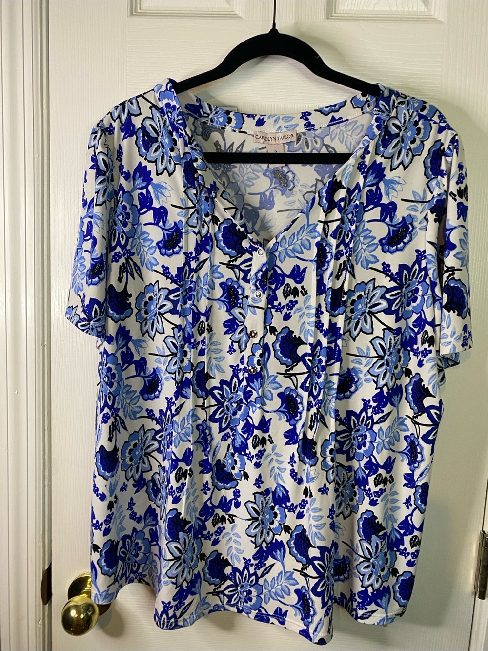 Carolyn Taylor White and Blue Floral V-Neck Short Sleeve Blouse Size 1X.